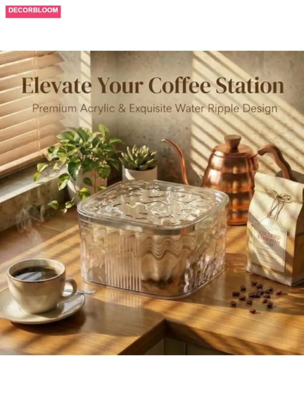 Acrylic Coffee Filter Holder with Push-Button Lid, Large Capacity Storage